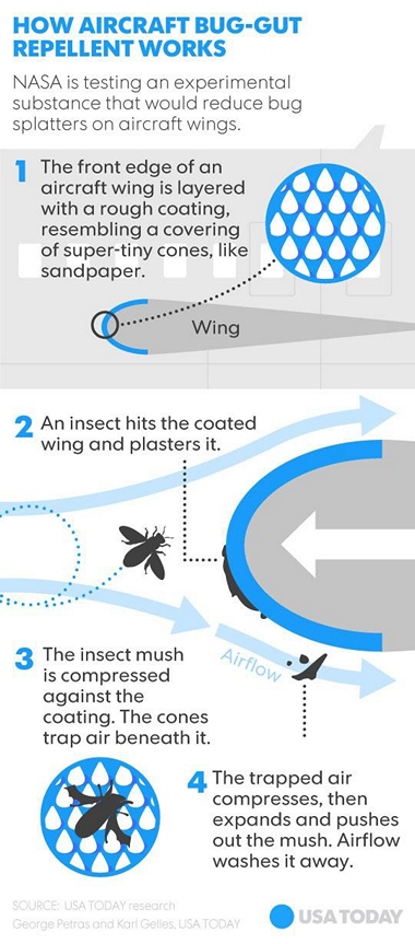 Plane Insect Pilot's Post Online Aviation